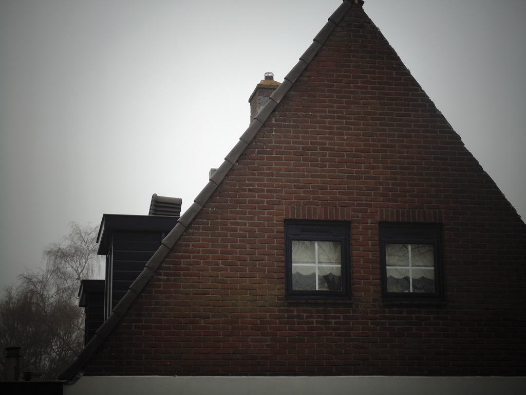 OVH dakpannen op woonhuis in 's-Graveland